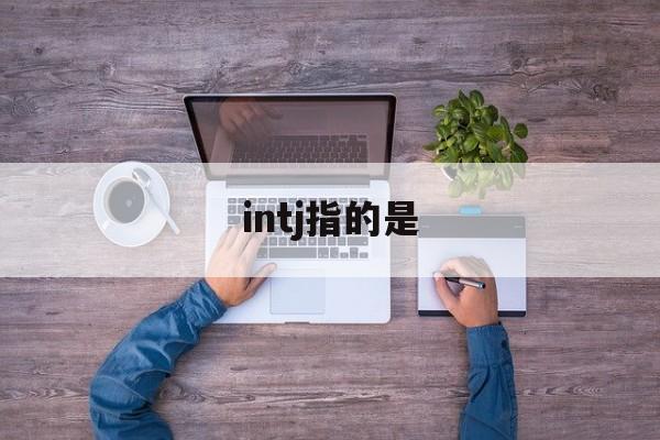 intj指的是